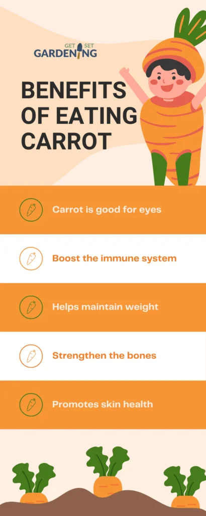 benifits of eating carrot