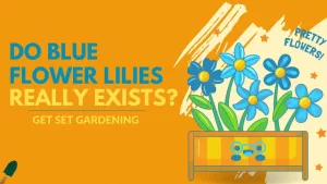 do blue lilies really exists