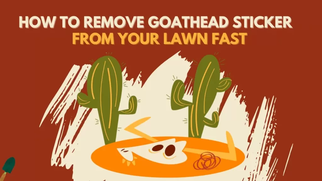 How to Get Rid of Goathead Sticker, Weed, and Seed?