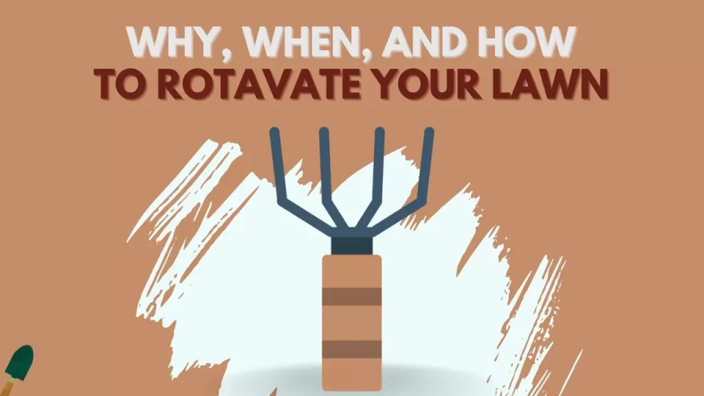 Rotavating - Why, When, & How to Rotavate lawn(Explained)