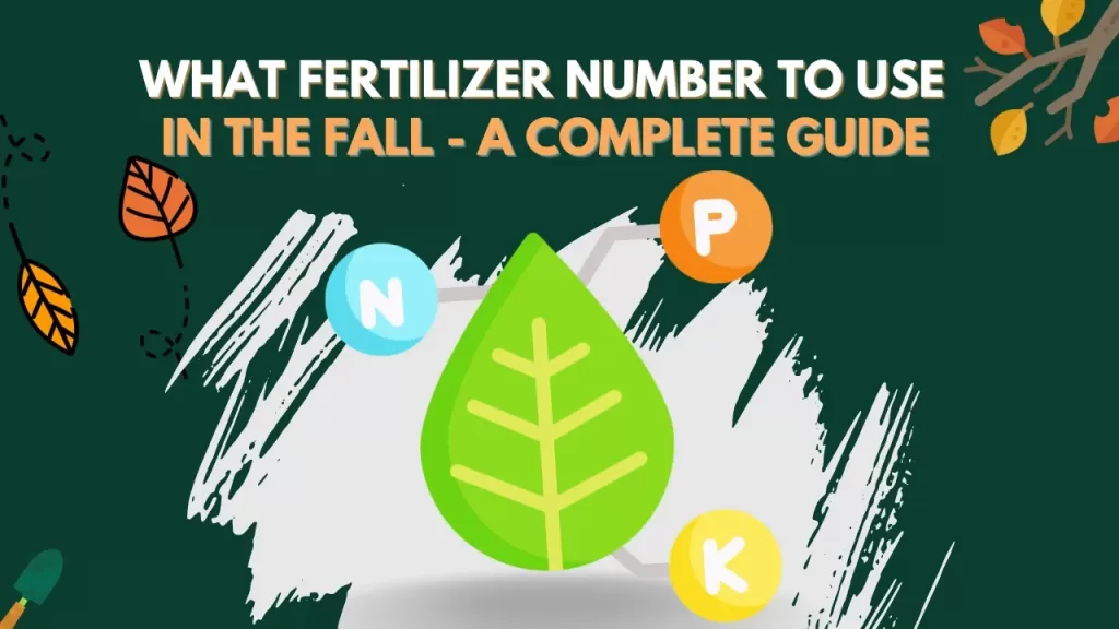 What Fertilizer Numbers To Use In The Fall? - A Complete Guide