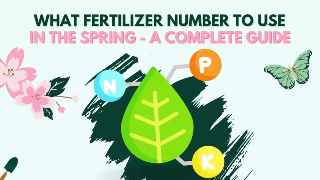 What Fertilizer Numbers To Use In Spring? - A Complete Guide