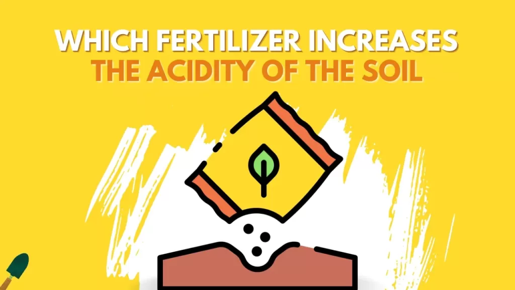 Which Fertilizer Increases The Acidity Of Soil? - And How To Use Them