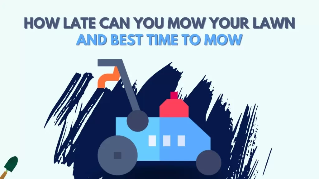 How Late Can You Mow Your Lawn? And What Is the Best Time