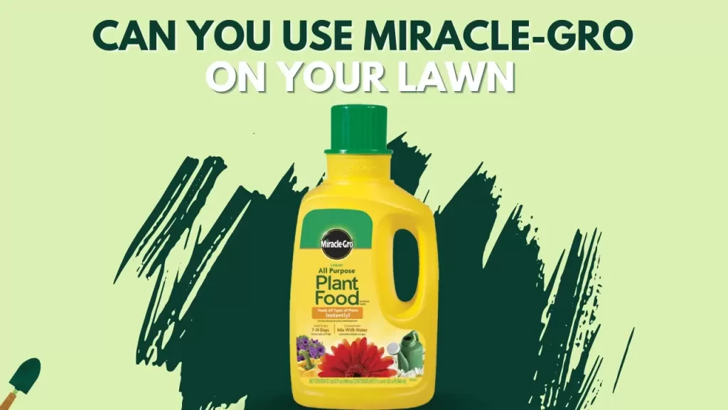 Can You Use Miracle-Gro on grass?- Will It Burn The Lawn?