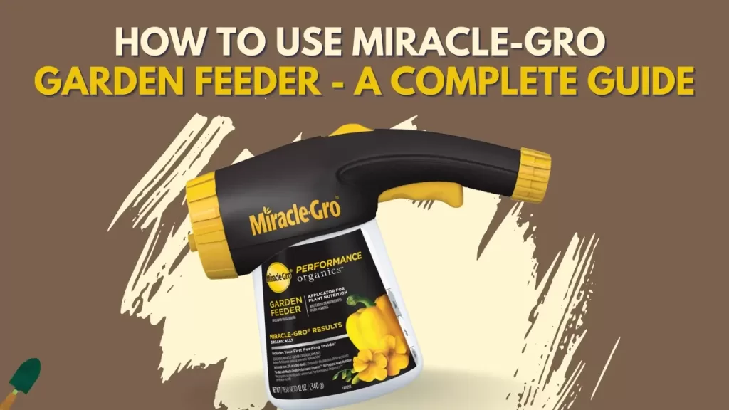 How to Use Miracle-Gro Garden Feeder? - Complete Guide