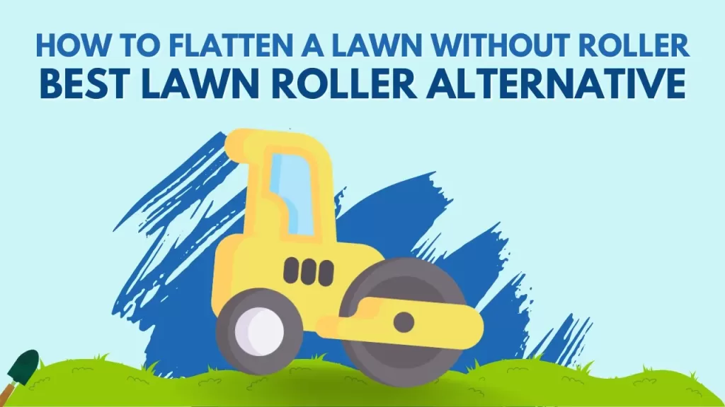 How to Flatten a Lawn Without a Roller? - 4 Lawn Roller Alternatives