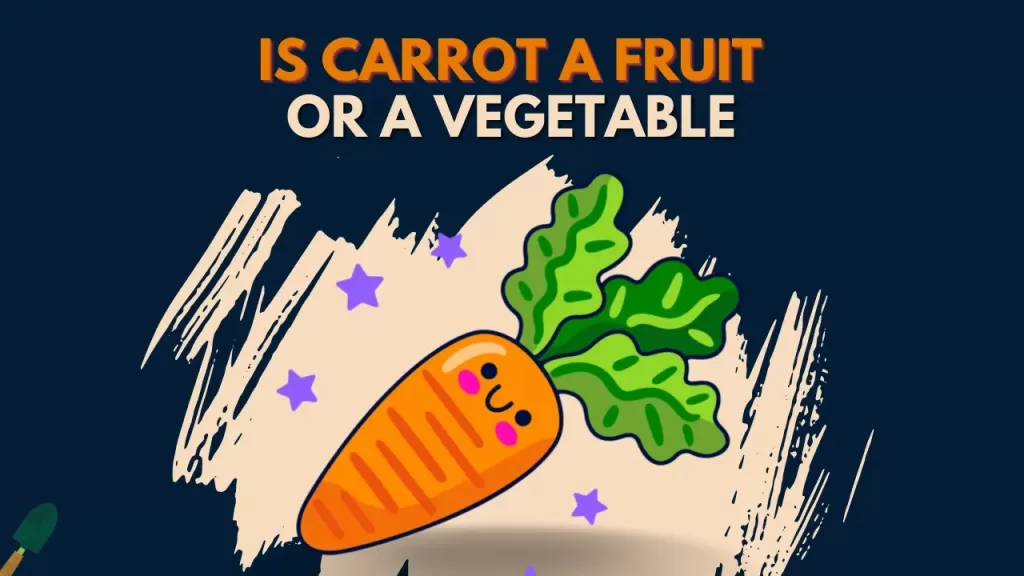 Is Carrot a Fruit, Vegetable, or Root? -Answered