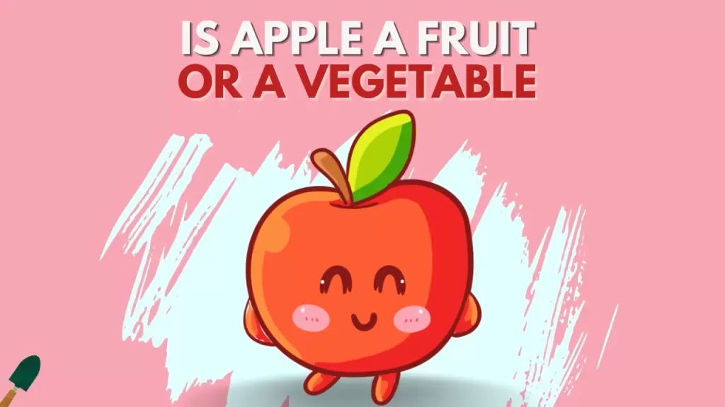 Is Apple A Fruit Or A Vegetable?