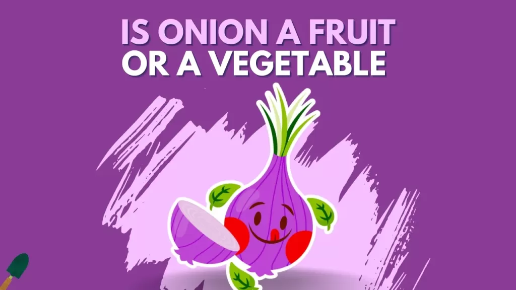 Is Onion A Vegetable Or A Fruit? (Explained)