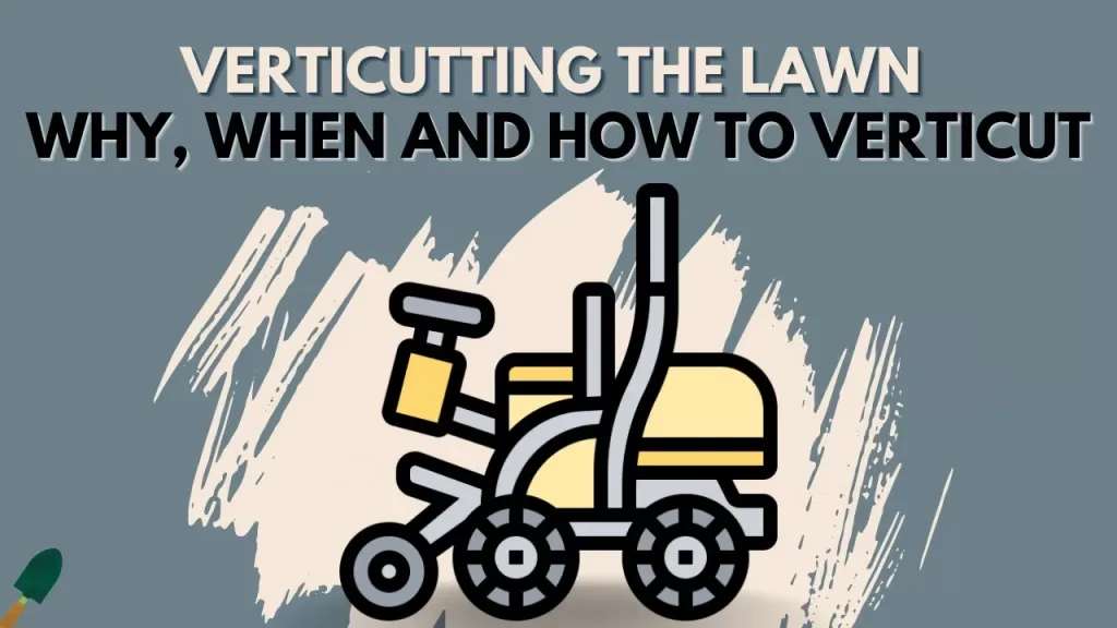 Verticutting - Why, When, And How To Verticut Your lawn
