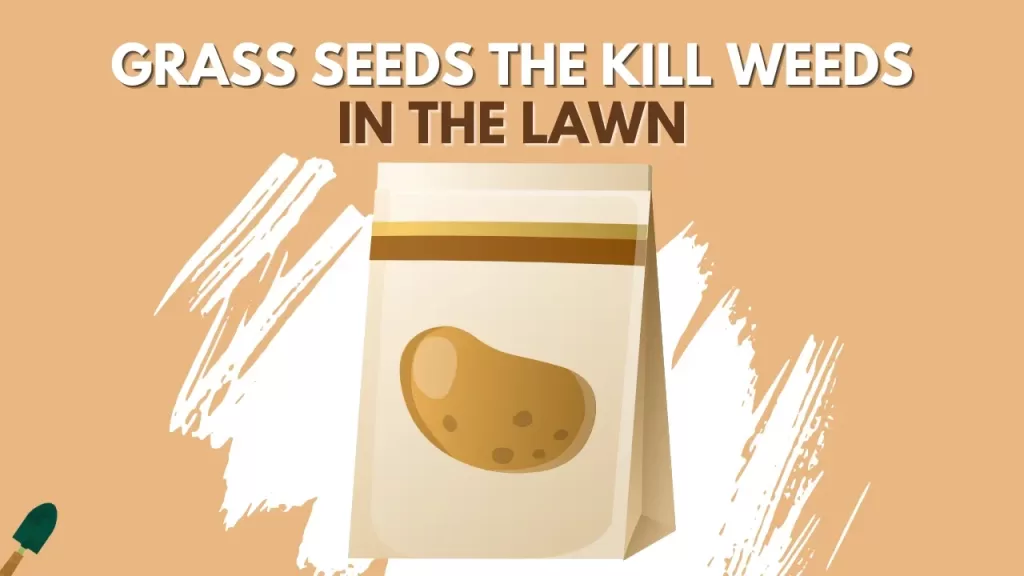 grass seeds that kill weed