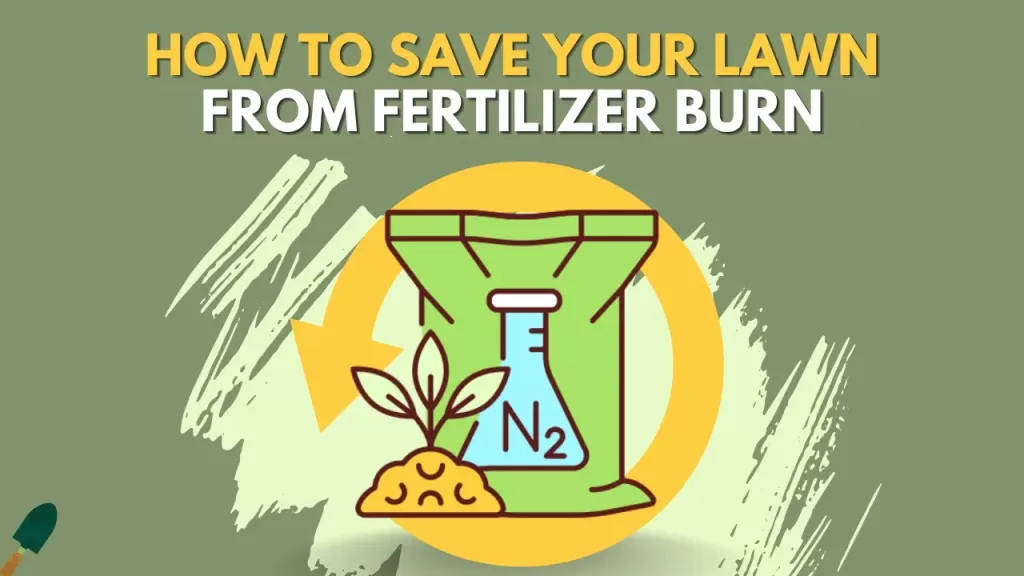 How To Reverse Lawn Fertilizer Burn?