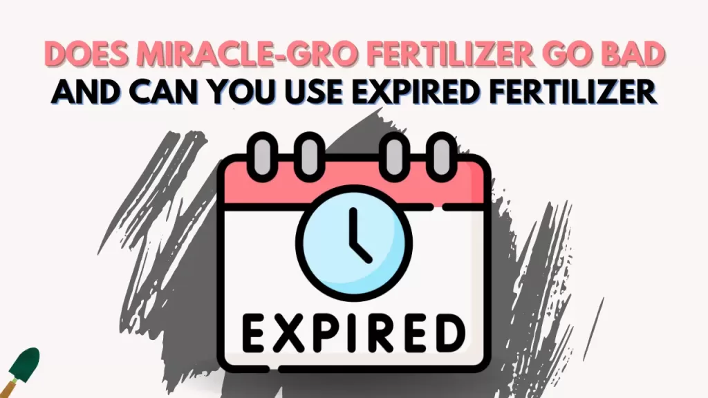 Does miracle gro fertilizer expire or go bad