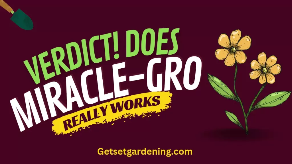 Does miracle gro work - the verdict