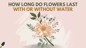 How long do flowers last without water