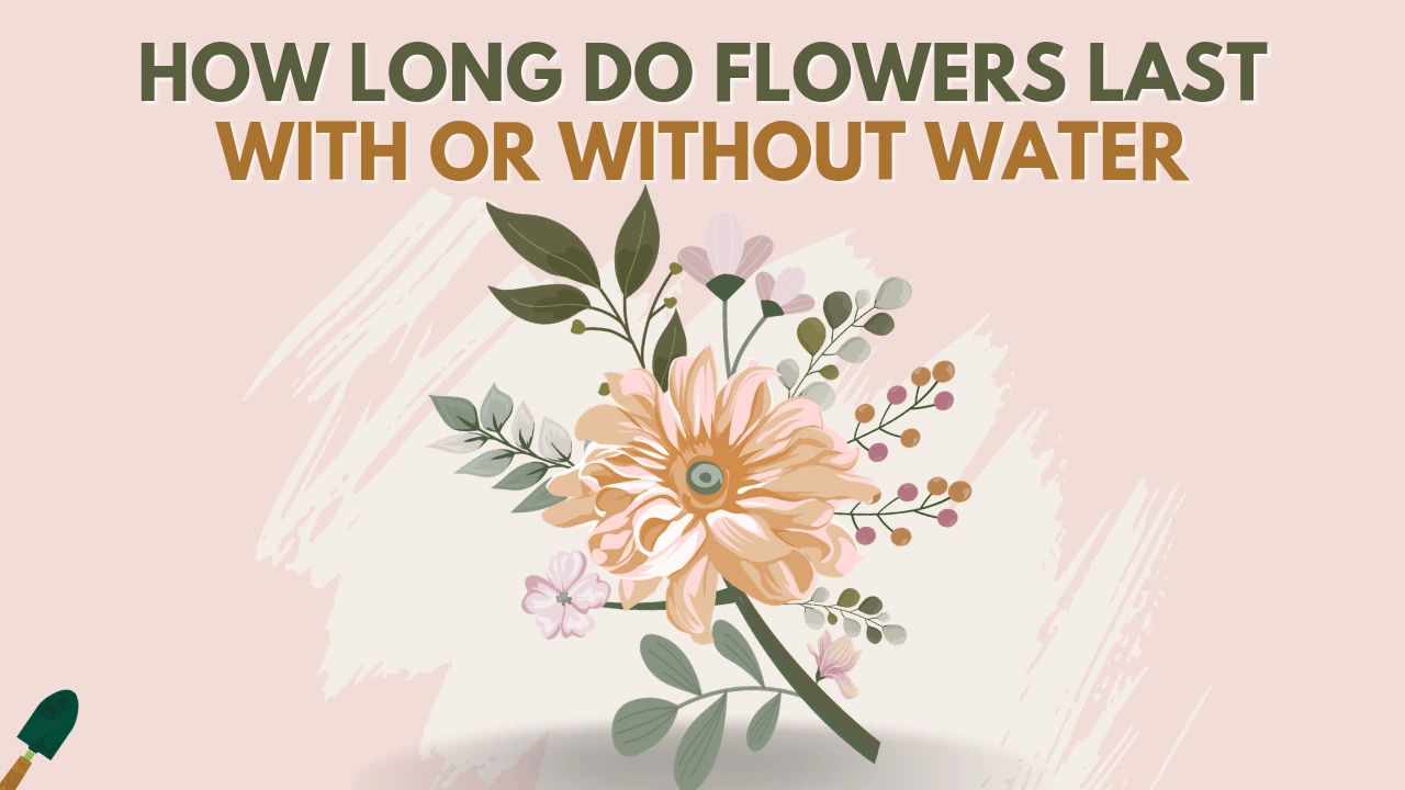 How Long Will A Bouquet Of Flowers Last Without Water