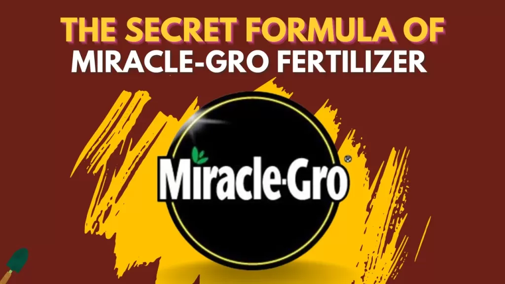 All the ingredients and formula for Miracle-Gro Fertilizer