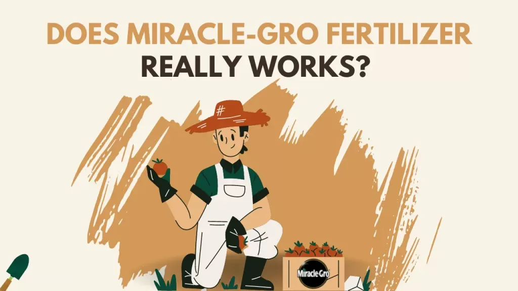 Does Miracle gro fertilizer really works?