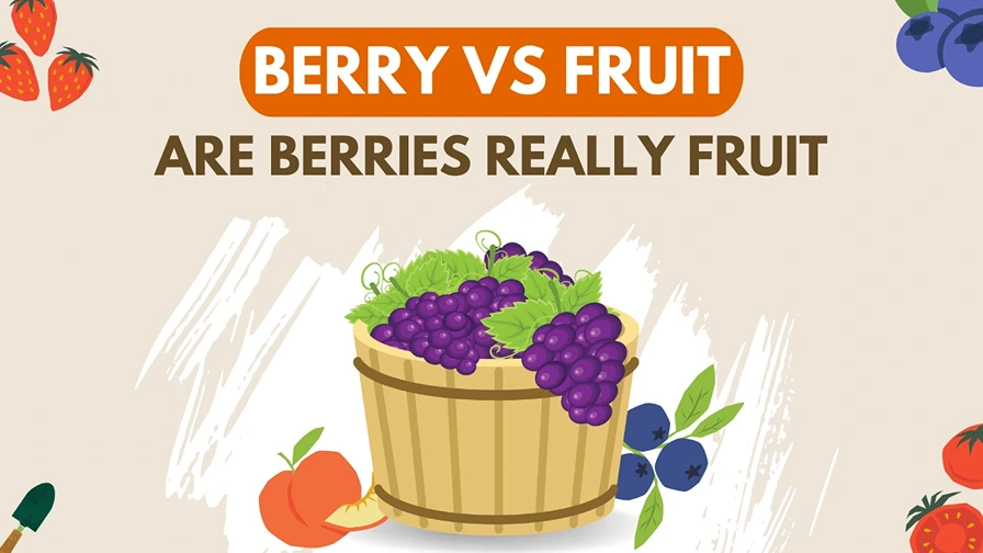 berry vs fruit - the real difference between berries and fruits