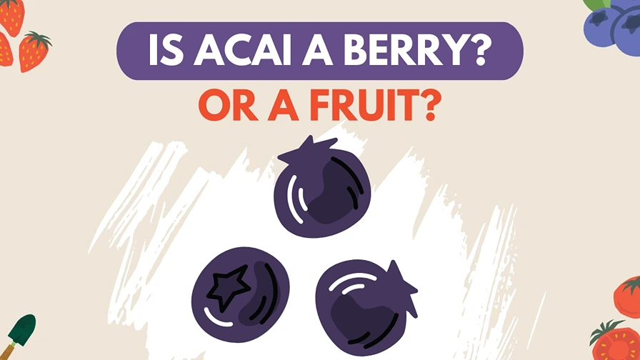 Is acai a berry or a fruit - The full truth