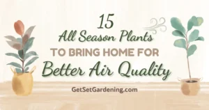 15 all-season plants for better air quality in your house