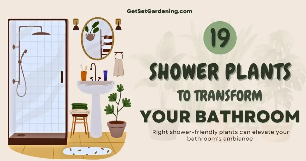 19 Shower Plants To Transform Your Bathroom - Plants That Absorb Moisture