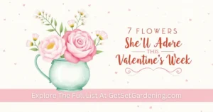 7 Flowers to Give Your Girlfriend This Valentine’s Week