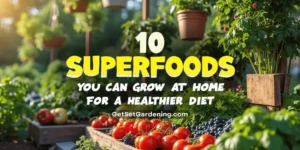10 Superfoods You Can Grow at Home for a Healthier Diet