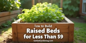 How to Build Raised Beds for Less Than $9