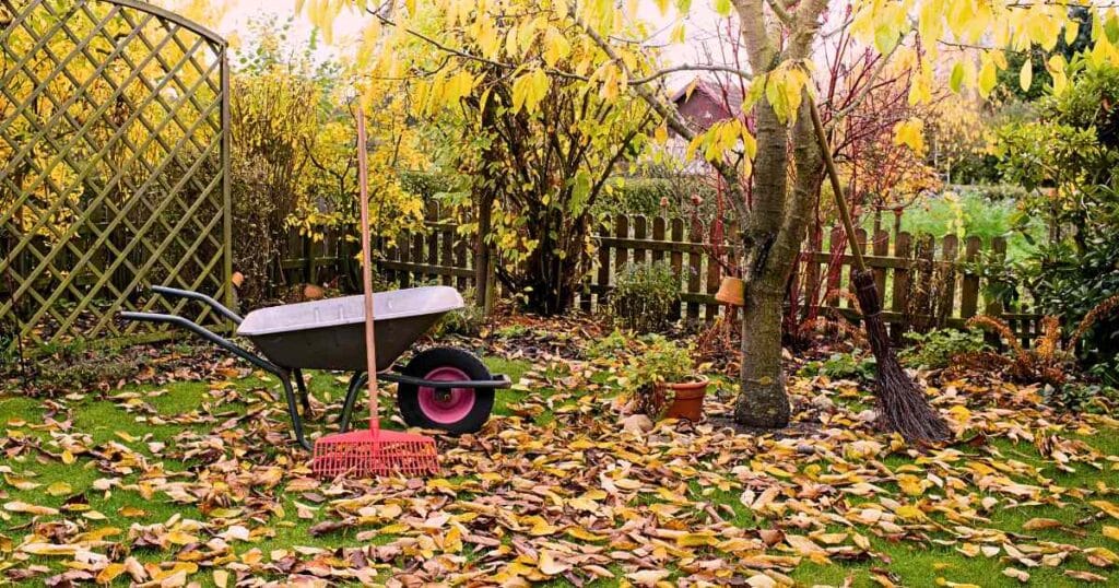 How to Prepare Your Garden for Fall: Complete Checklist