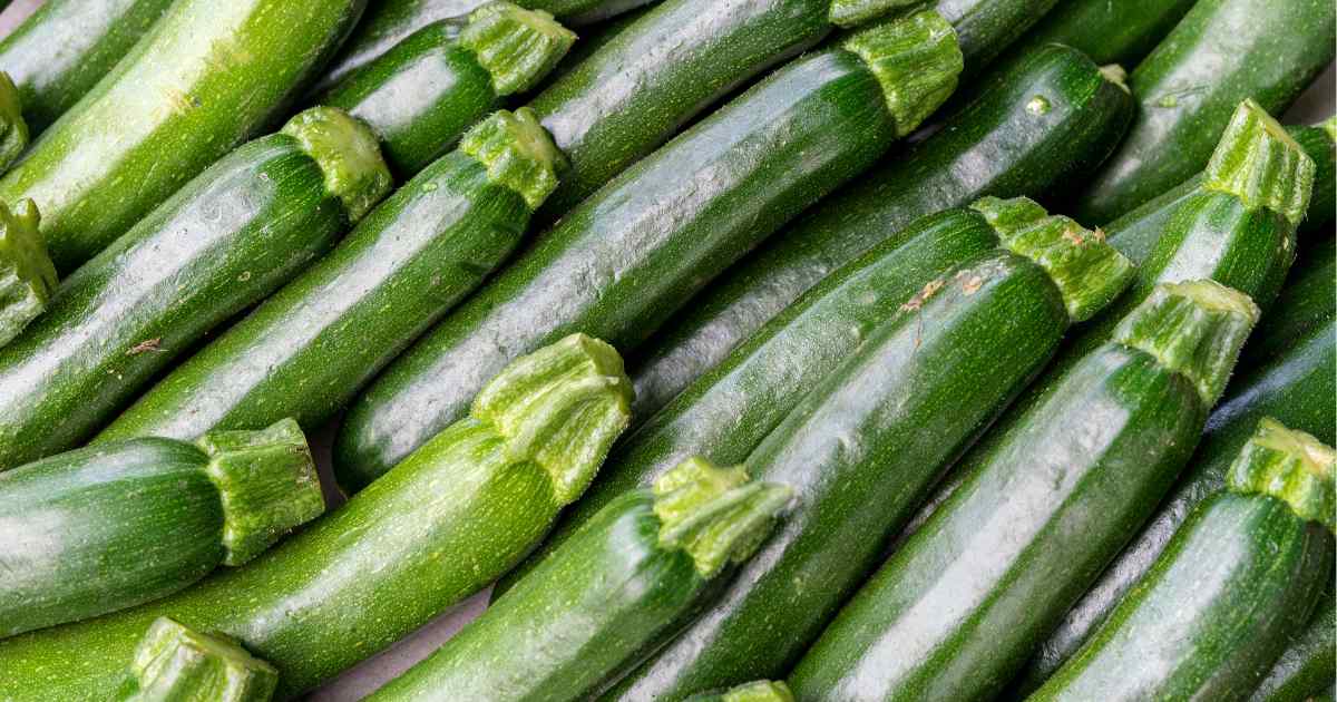 how-to-grow-corn-at-home-beginner-s-guide